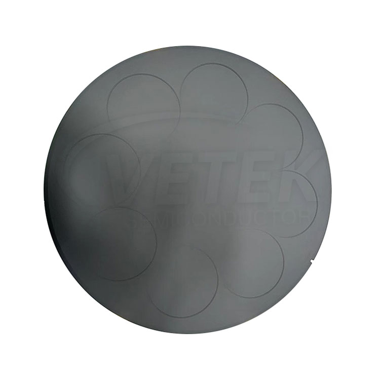 Sic Coated Pancake Susceptor pro LPE PE3061S 6 '' WAFERS